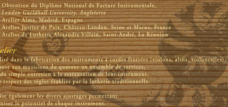 Spécialisé dans la fabrication des instruments à cordes frottées (violons, altos, violoncelles),
je propose aux musiciens du quatuor un ensemble de services,
allant du simple entretien à la restauration de leur instrument,
dans le respect des règles établies par la lutherie traditionnelle. 

Je réalise également les divers ajustages permettant 
d’optimiser le potentiel de chaque instrument.